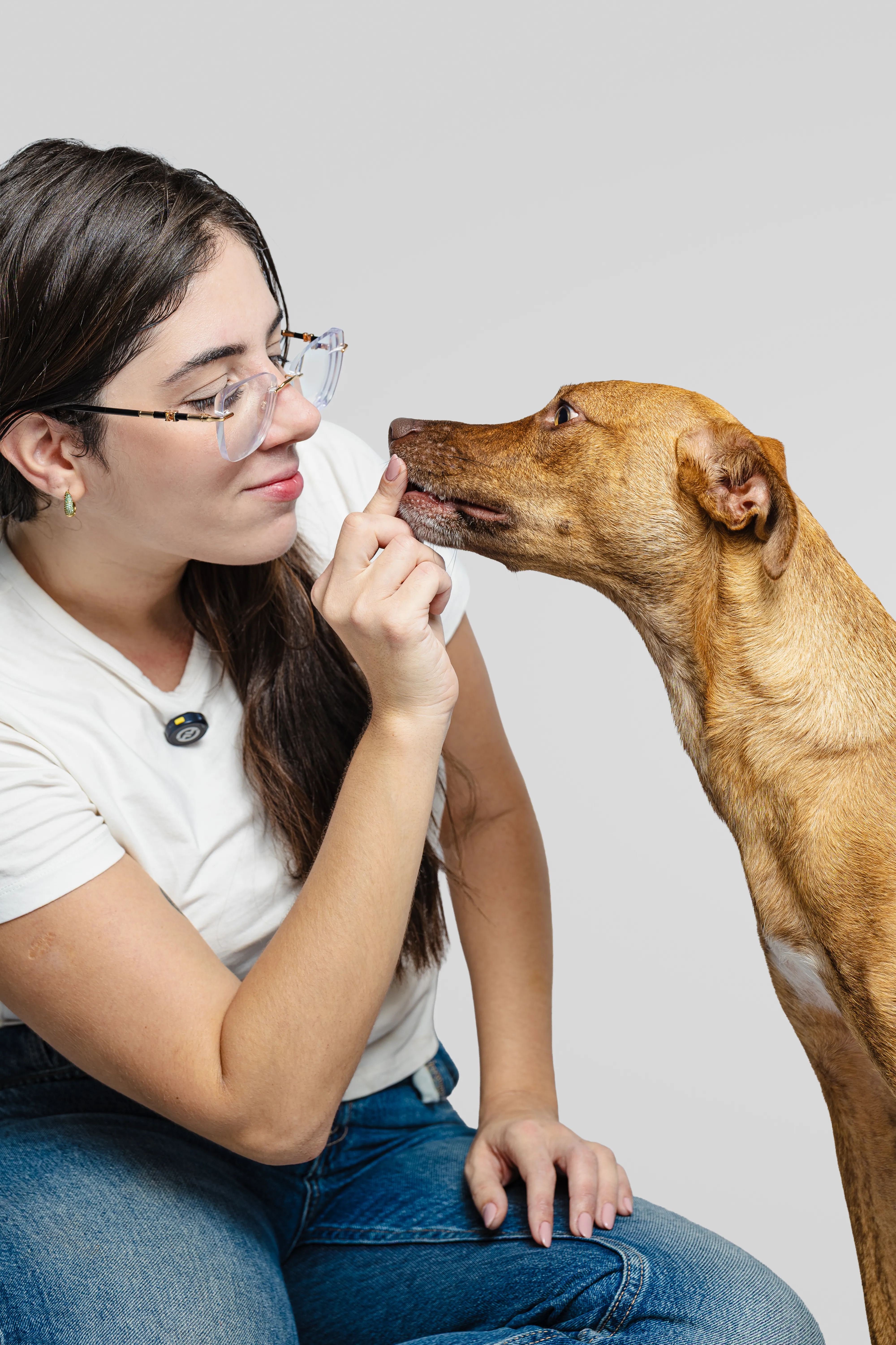 Pessoa fazendo carinho de perto no focinho de um cão