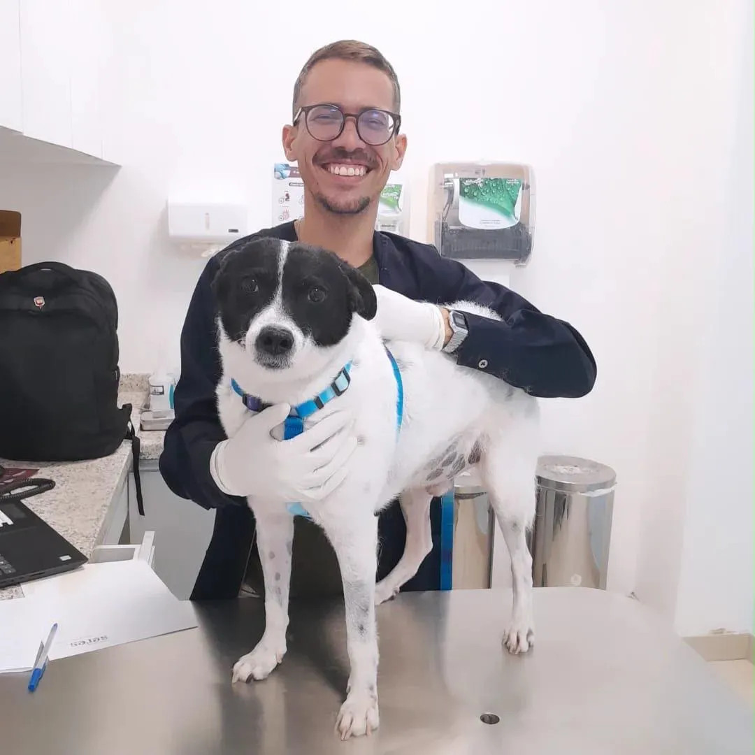 Luan Aleksander, Hematologia Veterinária na Aumei Pet